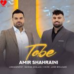دانلود آهنگ تو یادگار قلبمی دورت بگردم (توبه امیرحسین شهرآیینی)